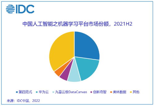 2021年人工智能软件及应用市场 同比增长43.1%驱动下的应用软件开发浪潮